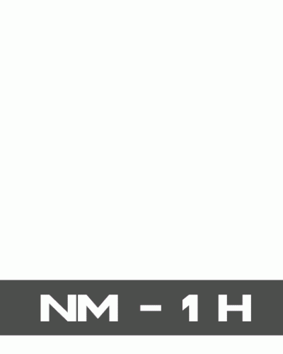 Feuerzeug NM -1 H